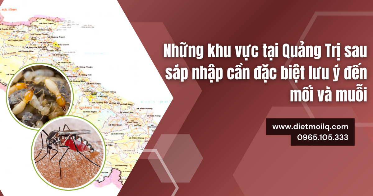 Những khu vực tại Quảng Trị sau sáp nhập cần đặc biệt lưu ý đến mối và muỗi