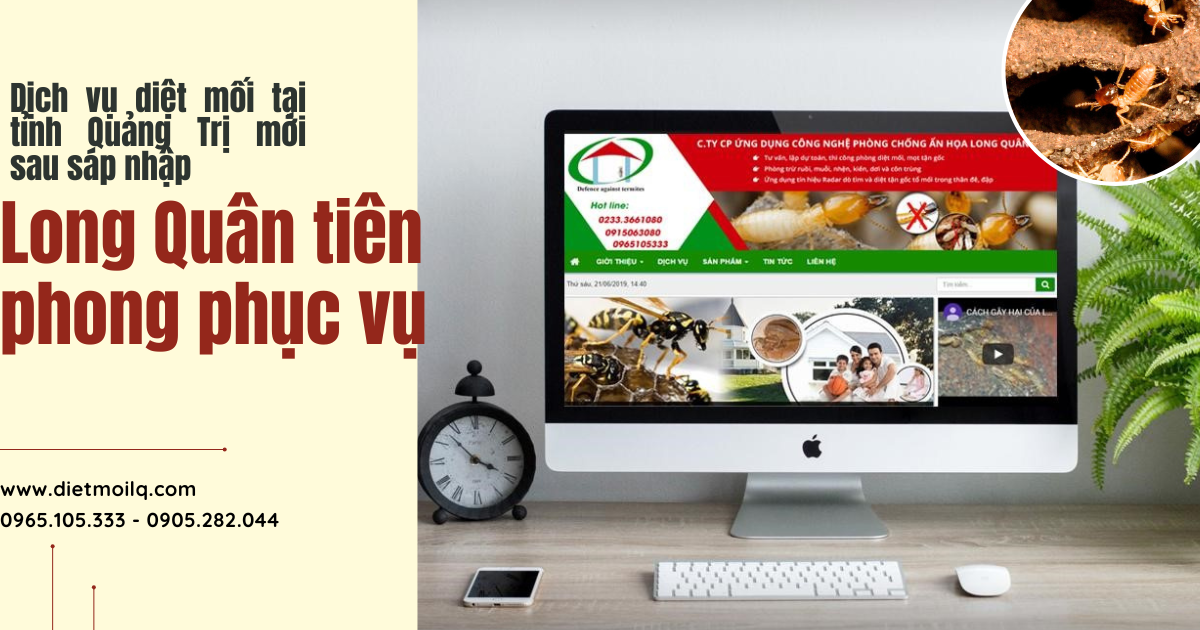 Dịch vụ diệt mối tại tỉnh Quảng Trị mới sau sáp nhập - Long Quân tiên phong phục vụ
