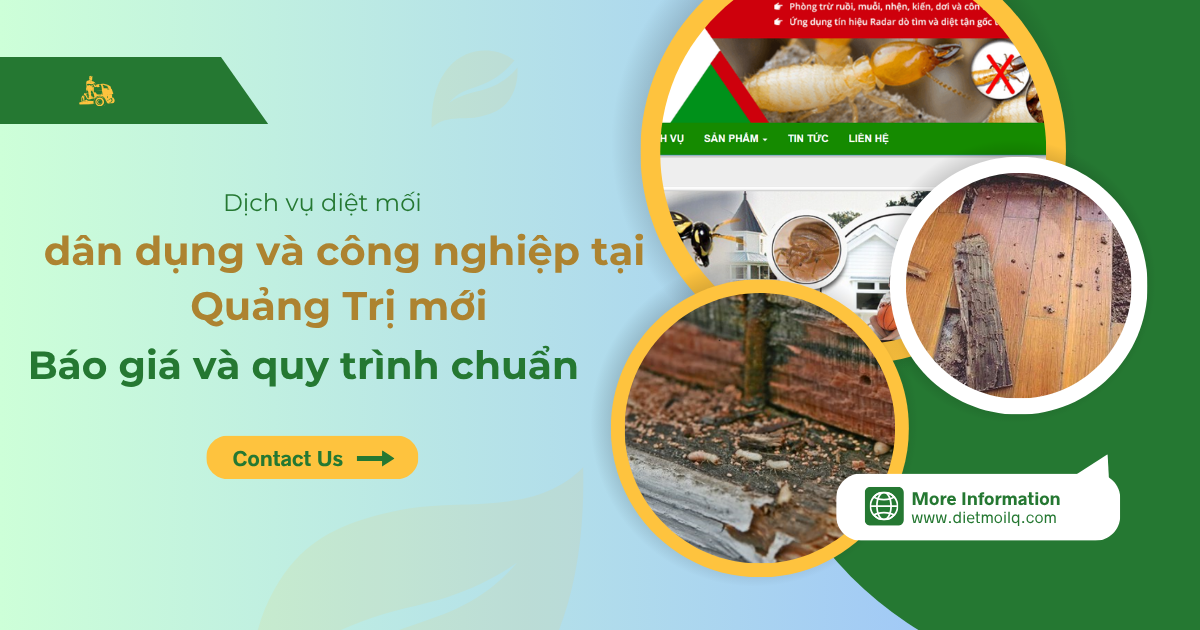 Dịch vụ diệt mối dân dụng và công nghiệp tại Quảng Trị mới -  Báo giá và quy trình chuẩn