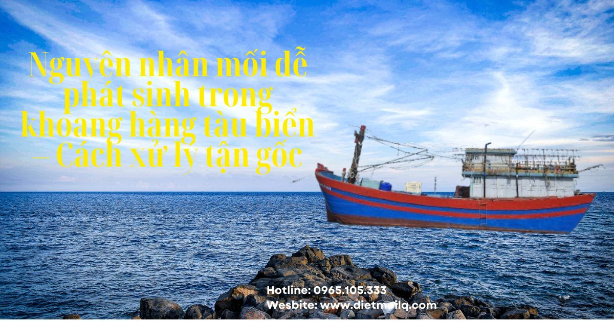 Nguyên nhân mối dễ phát sinh trong khoang hàng tàu biển – Cách xử lý tận gốc