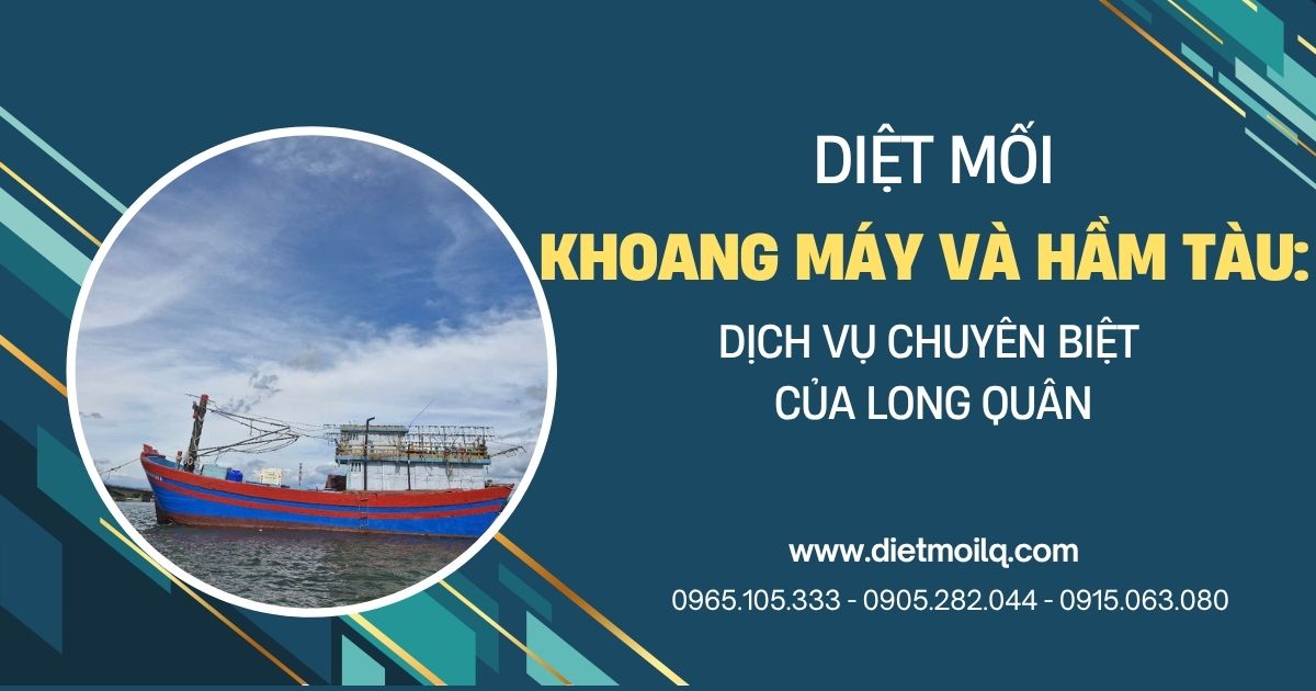 Diệt mối khoang máy và hầm tàu: Dịch vụ chuyên biệt của Long Quân