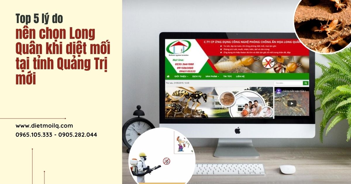 Top 5 lý do nên chọn Long Quân khi diệt mối tại tỉnh Quảng Trị mới