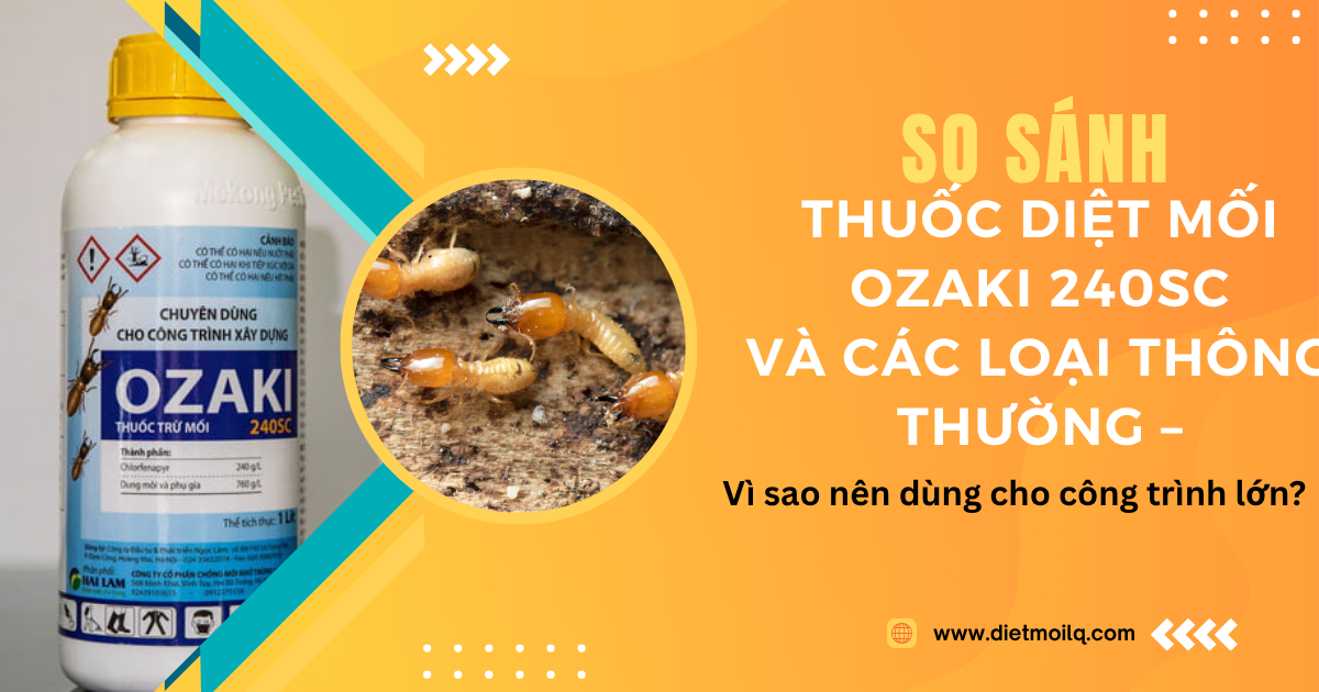 So sánh thuốc diệt mối Ozaki 240SC và các loại thông thường – Vì sao nên dùng cho công trình lớn?