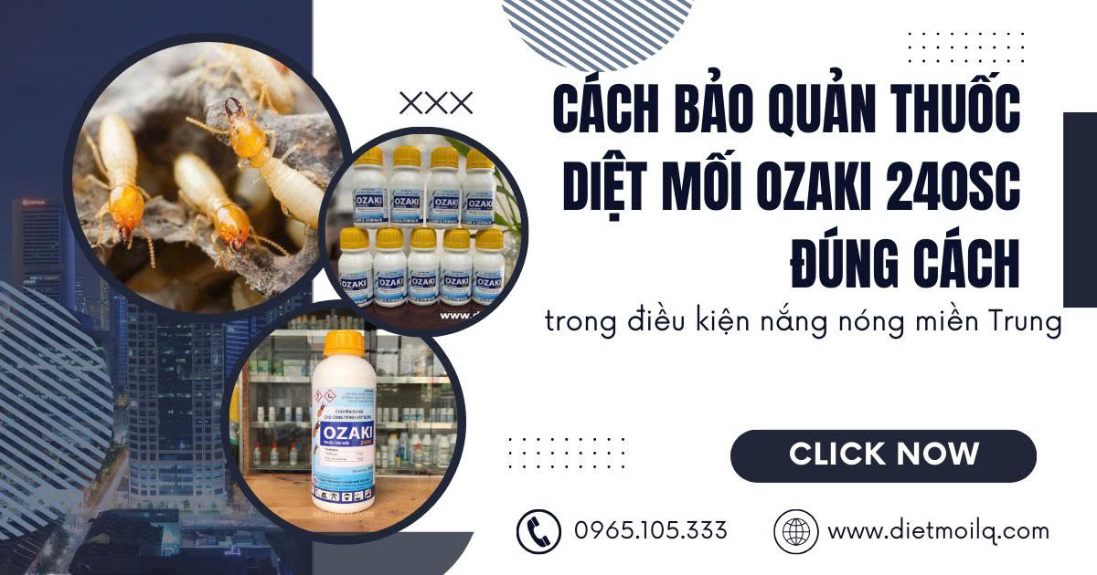 thuốc diệt mối Ozaki 240SC