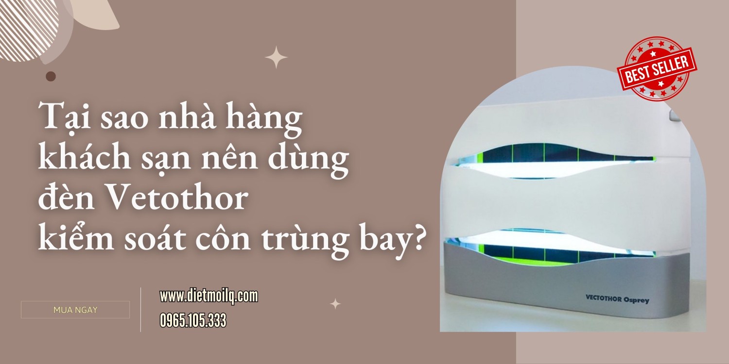 Tại sao nhà hàng – khách sạn nên dùng đèn Vectothor để kiểm soát côn trùng bay?