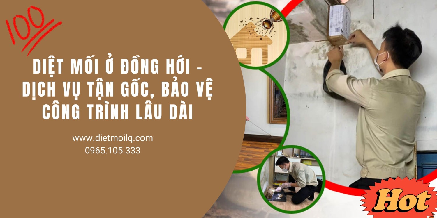Diệt mối ở Đồng Hới - Dịch vụ tận gốc, bảo vệ công trình lâu dài
