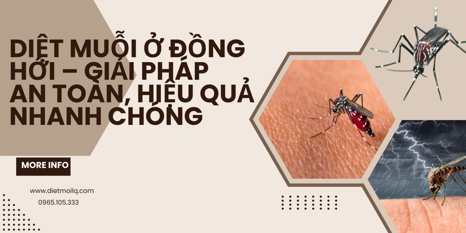 Diệt muỗi ở Đồng Hới – Giải pháp an toàn, hiệu quả nhanh chóng