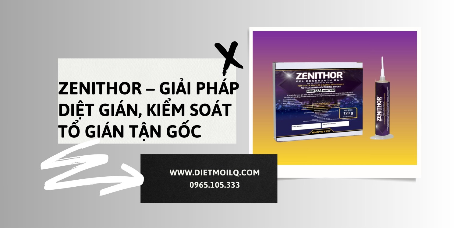 Zenithor – Giải pháp diệt gián, kiểm soát tổ gián tận gốc