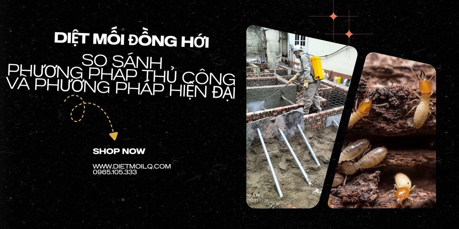Diệt mối ở Đồng Hới – So sánh phương pháp thủ công và công nghệ hiện đại