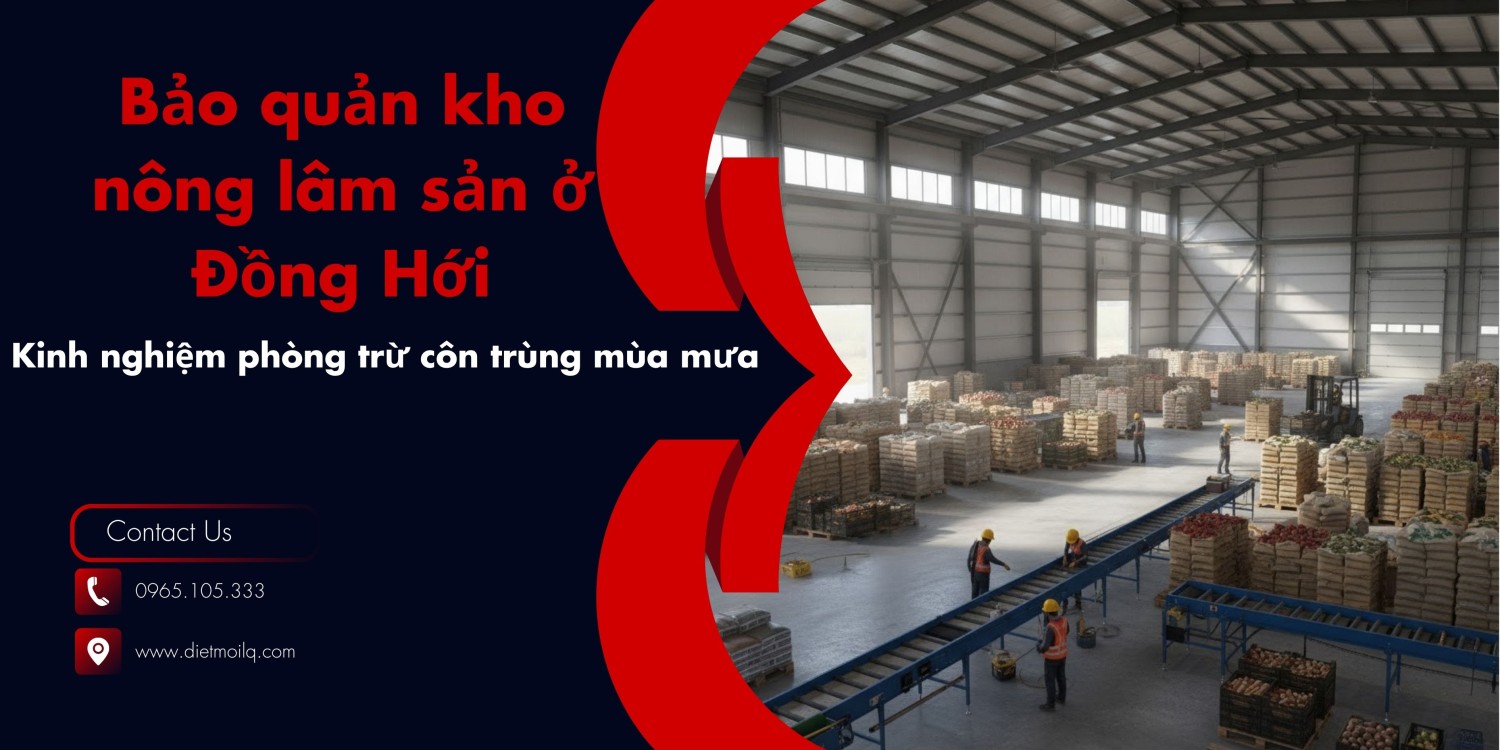 Bảo quản kho nông lâm sản ở Đồng Hới – Kinh nghiệm phòng trừ côn trùng mùa mưa