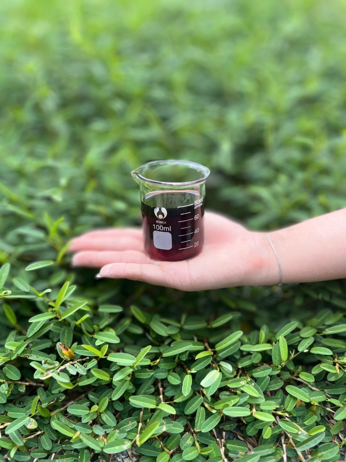 556388475 1307277001095101 3062582368807785904 n