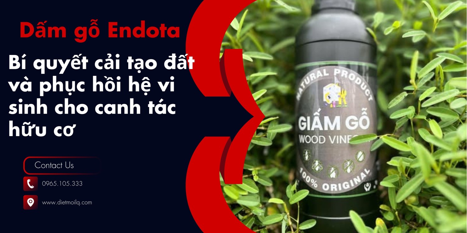 Dấm gỗ Endota – Bí quyết cải tạo đất và phục hồi hệ vi sinh cho canh tác hữu cơ