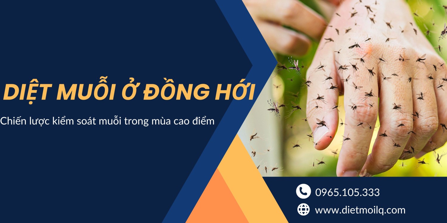 Diệt muỗi ở Đồng Hới – Chiến lược kiểm soát muỗi trong mùa cao điểm