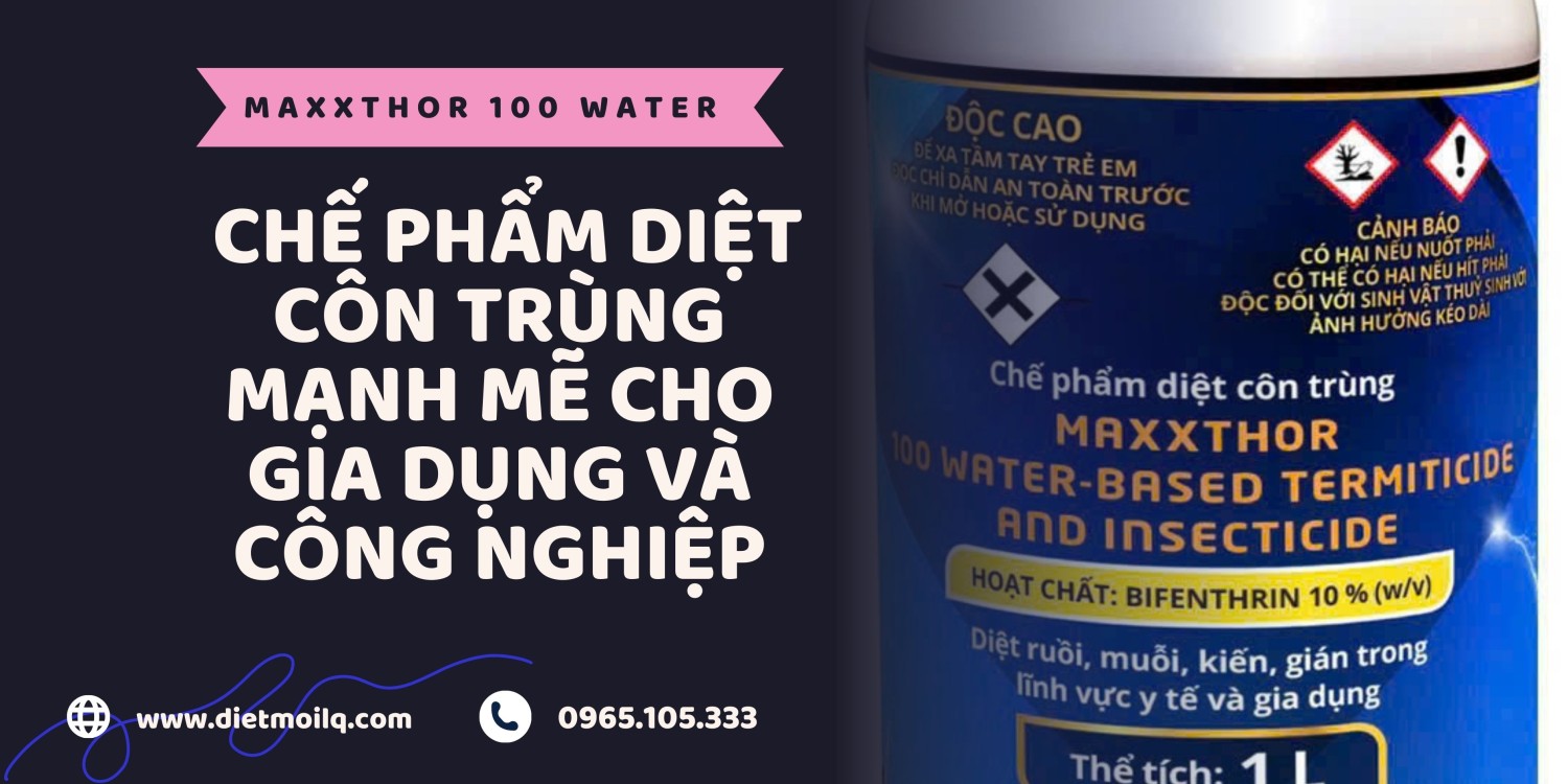 MaxxThor 100 Water – Chế phẩm diệt côn trùng mạnh mẽ cho gia dụng và công nghiệp
