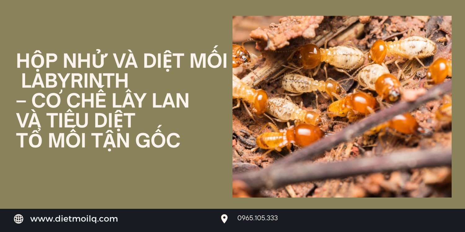 Bẫy bắt muỗi ngoài trời Biogents Nguyên lý hoạt động và hiệu quả thực tế