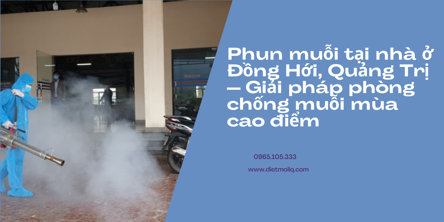 Phun muỗi tại nhà ở Đồng Hới, Quảng Trị – Giải pháp phòng chống muỗi mùa cao điểm