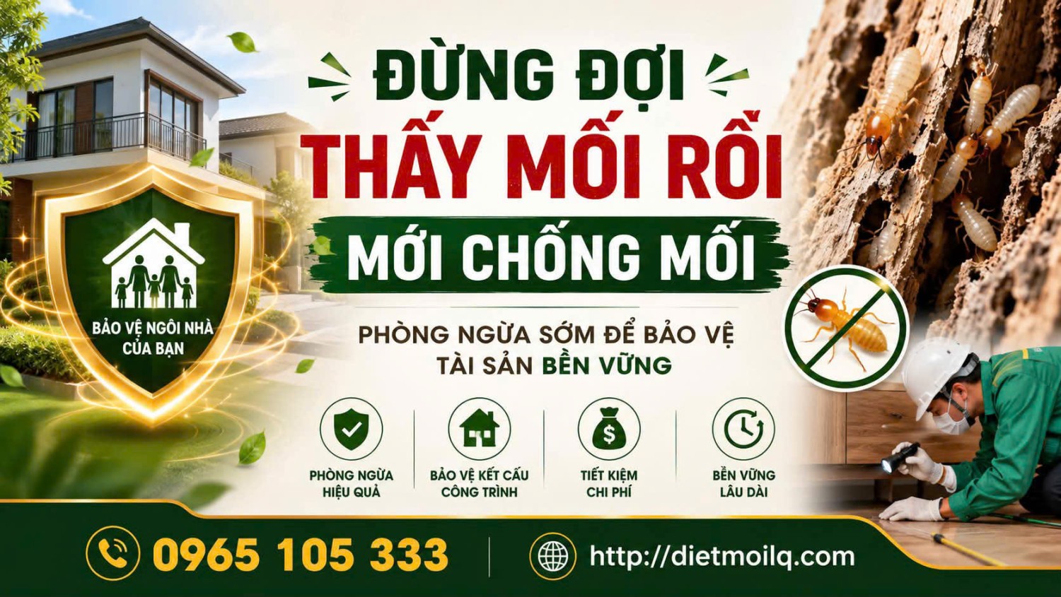 Đừng đợi thấy mối rồi mới chống mối – Phòng ngừa sớm để bảo vệ tài sản bền vững