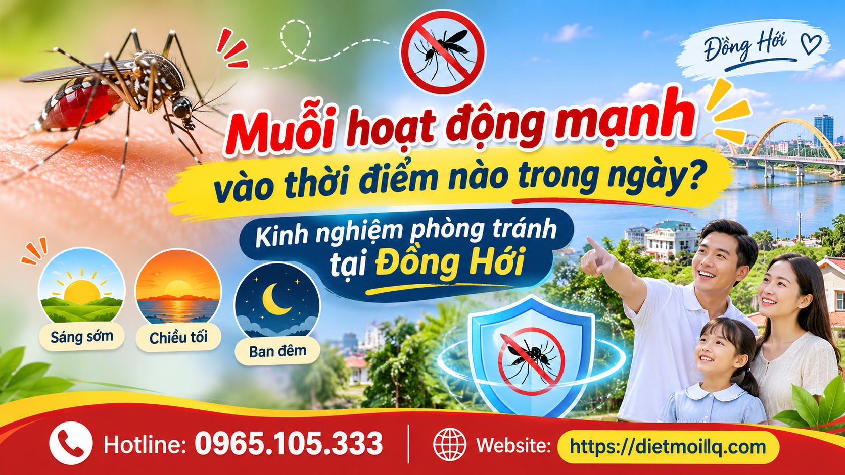 Muỗi hoạt động mạnh vào thời điểm nào trong ngày? Kinh nghiệm phòng tránh tại Đồng Hới